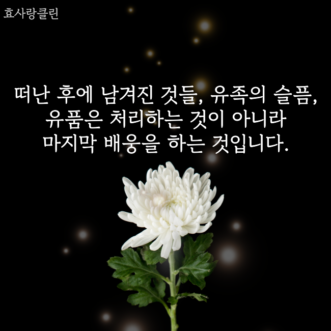 업체
