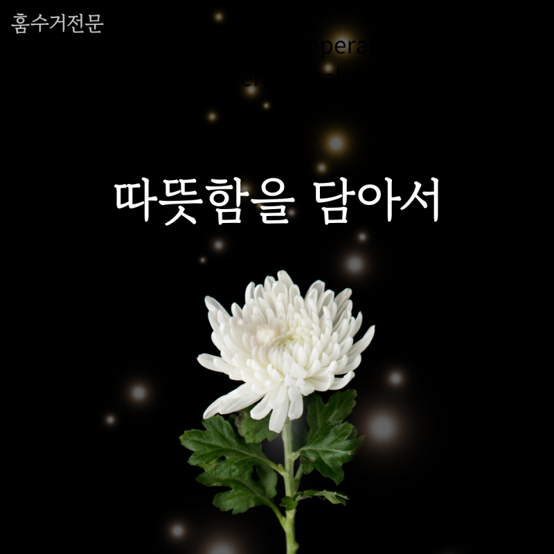 업체