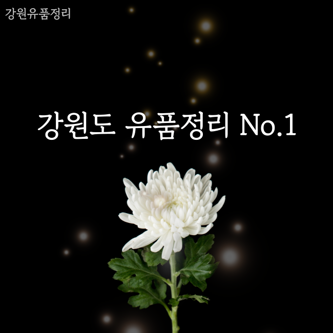 업체