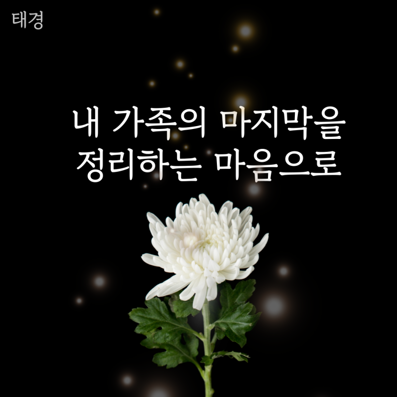 업체